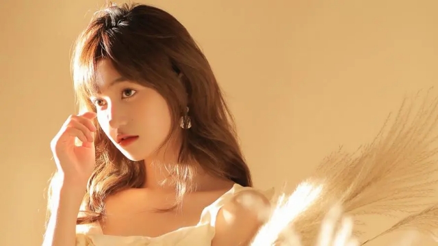 jinnianhui金年会：园林绿化花箱规格