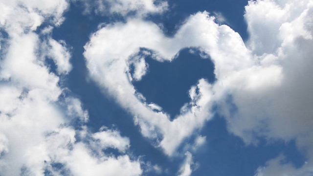 jinnianhui金年会：园林绿化砂石料