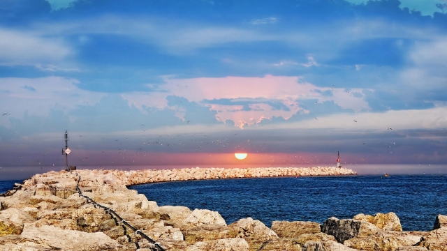 jinnianhui金年会：园林绿化植物栽植及养护