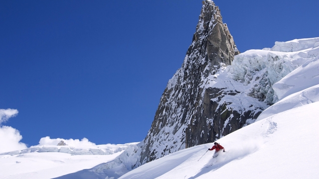 金年会：园林绿化栖霞