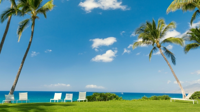 金年会：园林绿化花镜不修剪后果