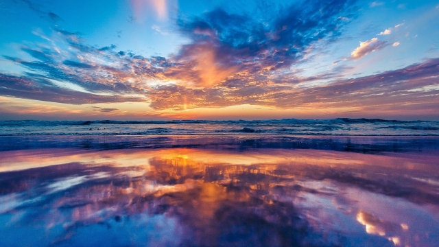 园林绿化常用的肥料有