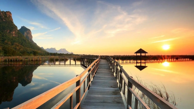 金年会：园林绿化和造林绿化一样吗