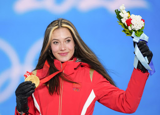 金年会：园林绿化袖套