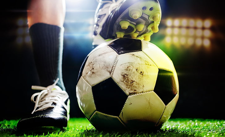 jinnianhui金年会：园林绿化淋水